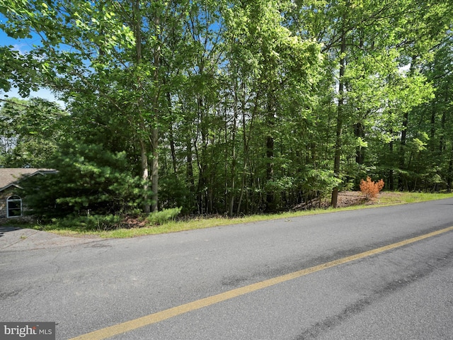 2528 Papoose Dr, Auburn, PA 17922 - view of asphalt street