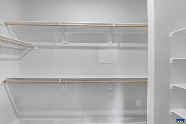 49 Ridgeline Dr, Waynesboro, VA 22980 - view of walk in closet