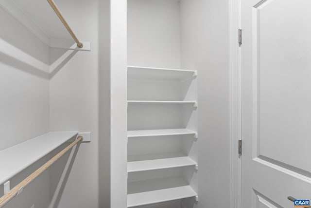 49 Ridgeline Dr, Waynesboro, VA 22980 - view of spacious closet