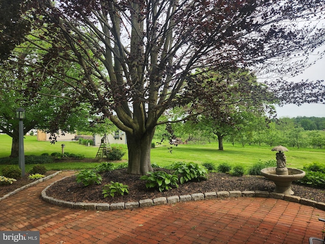 2569 White Oak Rd, Strasburg, PA 17579 - view of patio