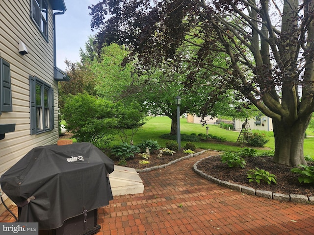 2569 White Oak Rd, Strasburg, PA 17579 - view of patio featuring area for grilling