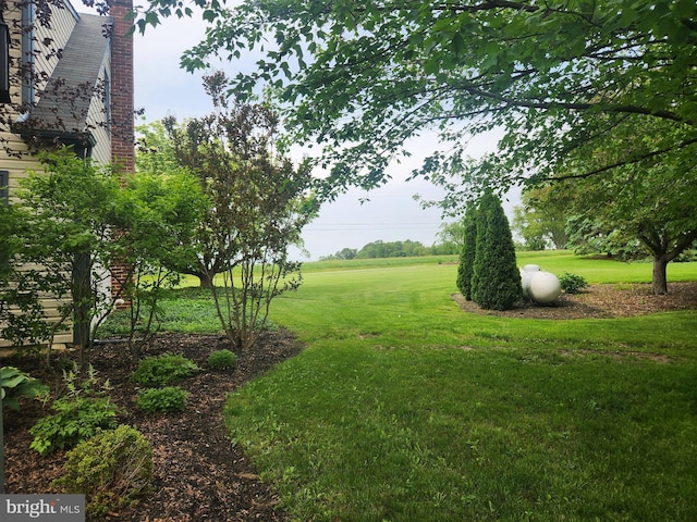 2569 White Oak Rd, Strasburg, PA 17579 - view of green lawn