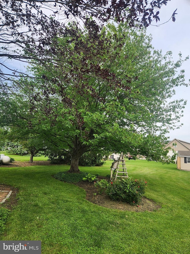 2569 White Oak Rd, Strasburg, PA 17579 - view of green lawn