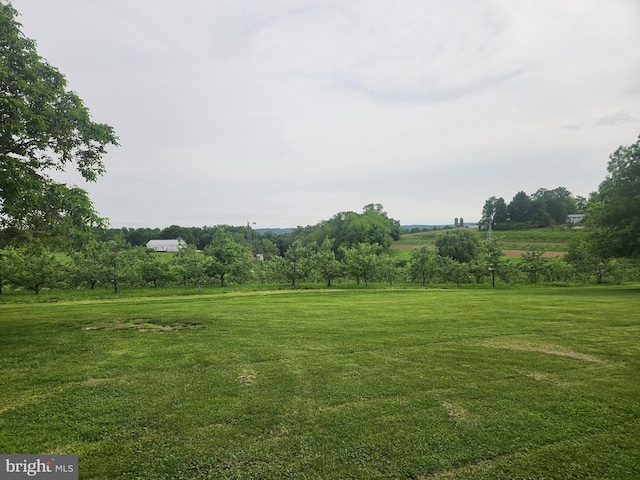 2569 White Oak Rd, Strasburg, PA 17579 - view of grassy yard with a view of rural / pastoral area