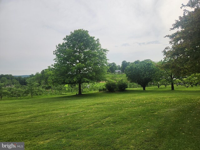 2569 White Oak Rd, Strasburg, PA 17579 - view of green lawn