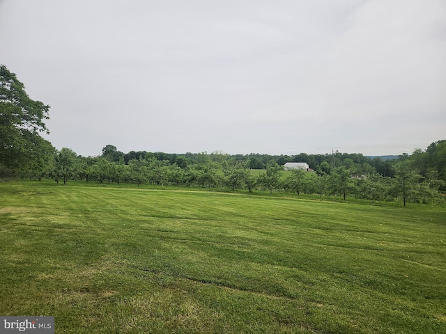 2569 White Oak Rd, Strasburg, PA 17579 - view of grassy yard featuring a rural view