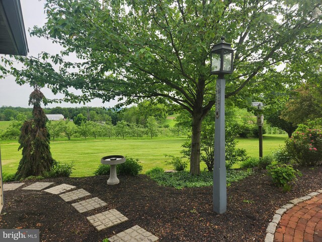2569 White Oak Rd, Strasburg, PA 17579 - view of grassy yard