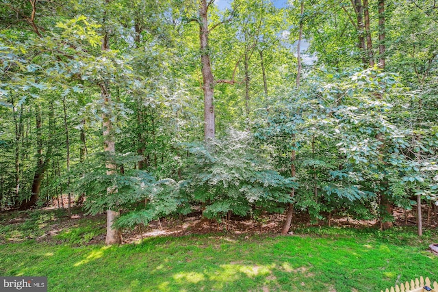 14329 Long Channel Dr, Germantown, MD 20874 - view of grassy yard