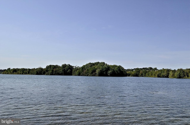 14329 Long Channel Dr, Germantown, MD 20874 - water view with a heavily wooded area