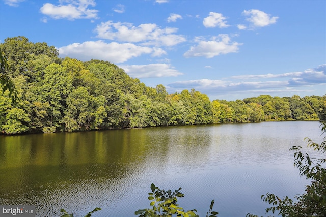 14329 Long Channel Dr, Germantown, MD 20874 - water view with a forest