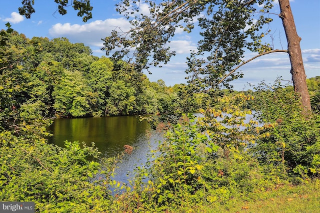 14329 Long Channel Dr, Germantown, MD 20874 - water view with a heavily wooded area