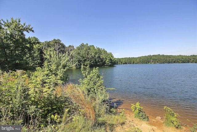 14329 Long Channel Dr, Germantown, MD 20874 - water view featuring a heavily wooded area
