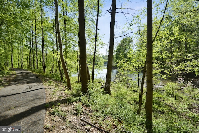 14329 Long Channel Dr, Germantown, MD 20874 - view of nature