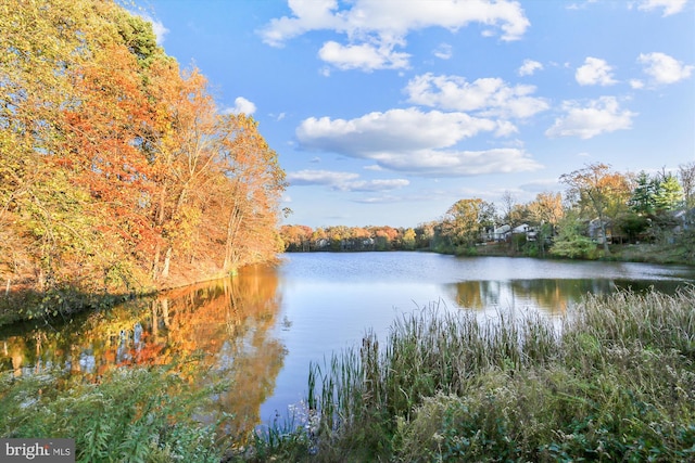 14329 Long Channel Dr, Germantown, MD 20874 - water view featuring a heavily wooded area