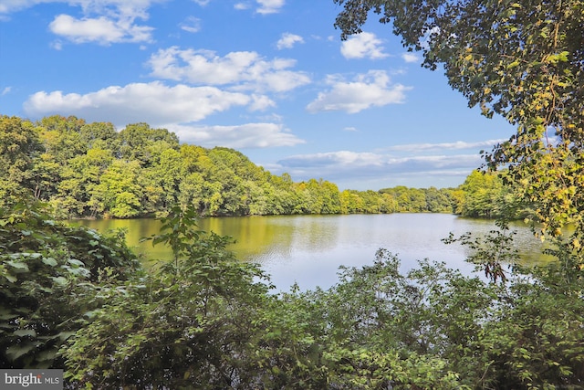 14329 Long Channel Dr, Germantown, MD 20874 - water view with a forest