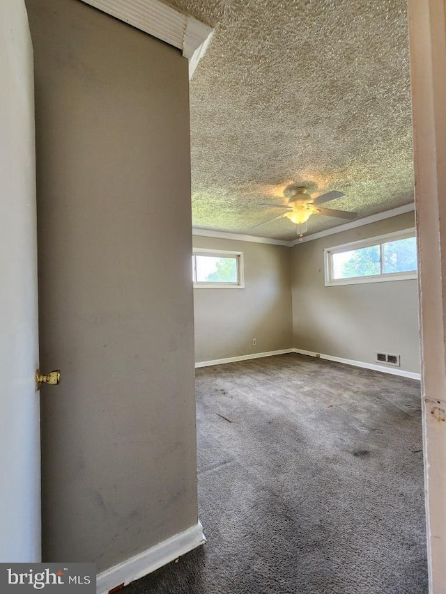 6222 Catalpha Rd, Baltimore, MD 21214 - carpeted empty room featuring healthy amount of natural light, a ceiling fan, crown molding, and a textured ceiling