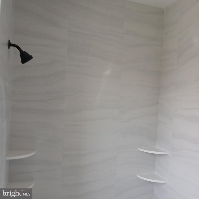 1909 Hughes Shop Rd, Westminster, MD 21158 - bathroom view of tiled shower