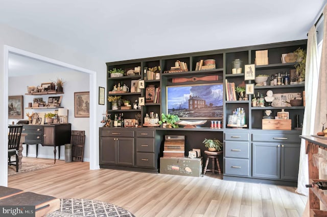 12513 Dardanelle Ct, Herndon, VA 20170 - living room featuring light wood finished floors