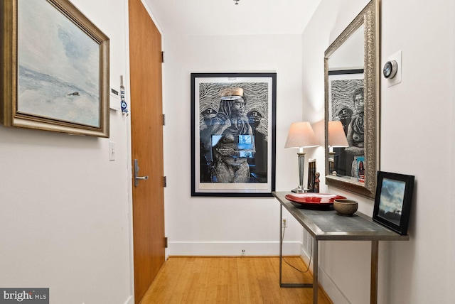 2328 Champlain St NW Unit 101, Washington, DC 20009 - corridor with light wood-type flooring and baseboards