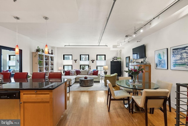 2328 Champlain St NW Unit 101, Washington, DC 20009 - kitchen featuring stainless steel dishwasher, light wood-style flooring, open floor plan, and hanging light fixtures