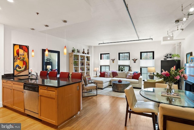 2328 Champlain St NW Unit 101, Washington, DC 20009 - kitchen with stainless steel dishwasher, open floor plan, light wood-type flooring, and dark countertops