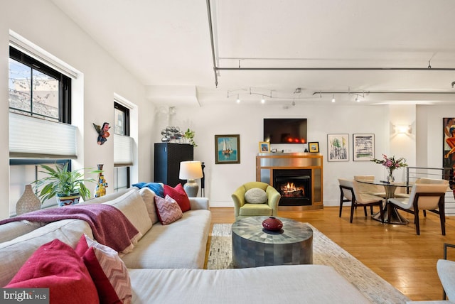 2328 Champlain St NW Unit 101, Washington, DC 20009 - living area featuring wood finished floors and a lit fireplace