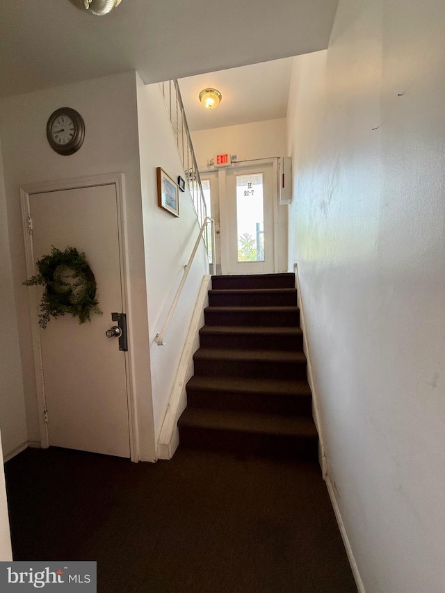 301 Byberry Rd Unit H10, Philadelphia, PA 19116 - staircase featuring carpet flooring