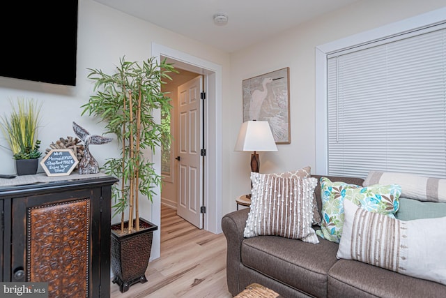 120 Robin Hood, Ocean Pines, MD 21811 - living area featuring light wood-style floors