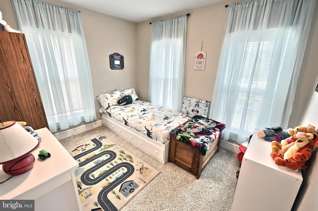 75 Railroad Ave, York Haven, PA 17370 - carpeted bedroom featuring multiple windows