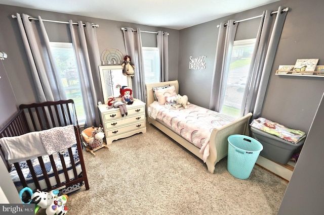 75 Railroad Ave, York Haven, PA 17370 - view of carpeted bedroom