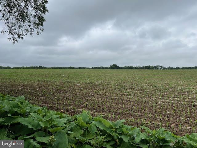 6598 Carlisle Pike, Mechanicsburg, PA 17050 - view of local wilderness featuring rural landscape
