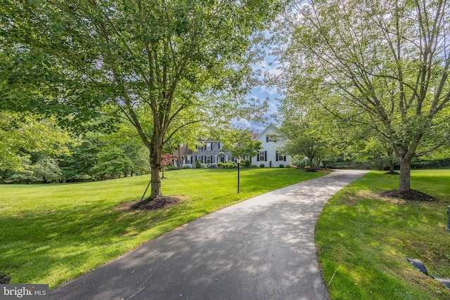 1021 Mulberry St, Chester Springs, PA 19425 - surrounding community with a lawn