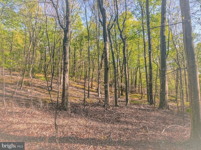 0 Cornman Ln, Landisburg, PA 17040