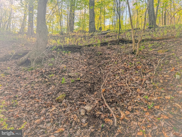 0 Cornman Ln, Landisburg, PA 17040