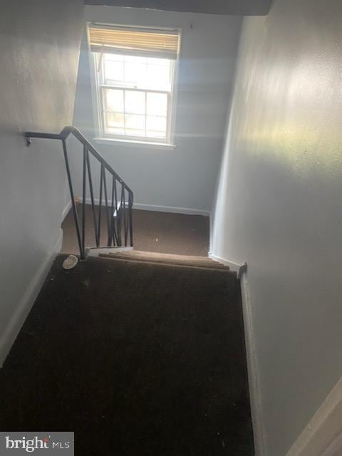 3720 Conshohocken Ave, Philadelphia, PA 19131 - staircase with carpet flooring and baseboards
