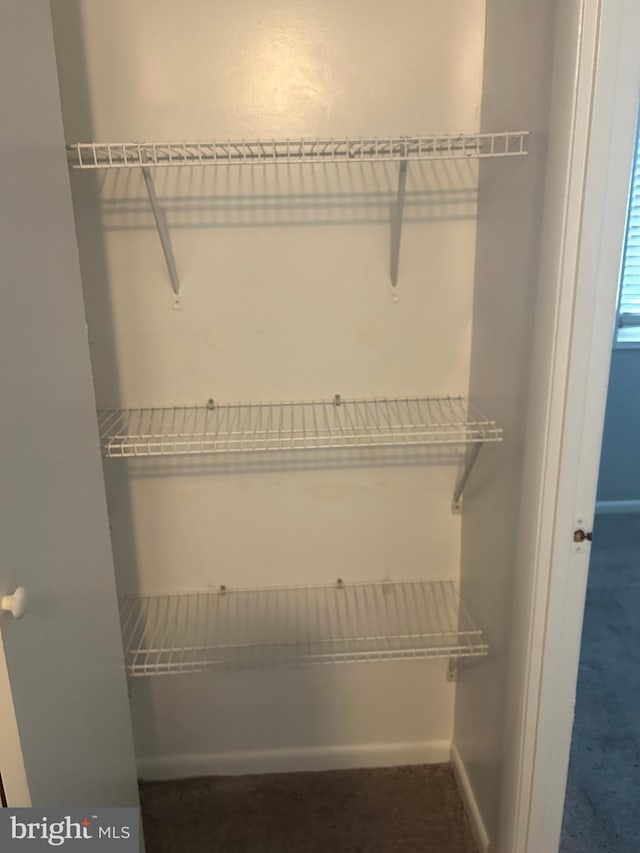 123 Big Chimney Br Unit 9-4, Upper Marlboro, MD 20774 - view of closet