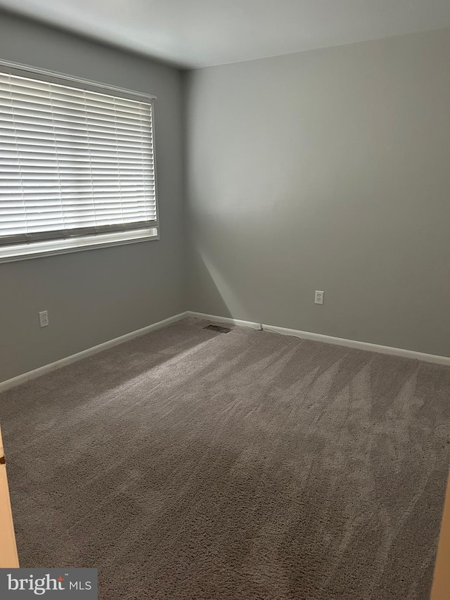 123 Big Chimney Br Unit 9-4, Upper Marlboro, MD 20774 - spare room with carpet flooring and baseboards