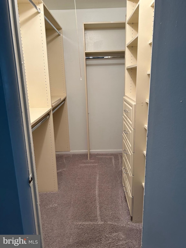 123 Big Chimney Br Unit 9-4, Upper Marlboro, MD 20774 - spacious closet featuring carpet flooring