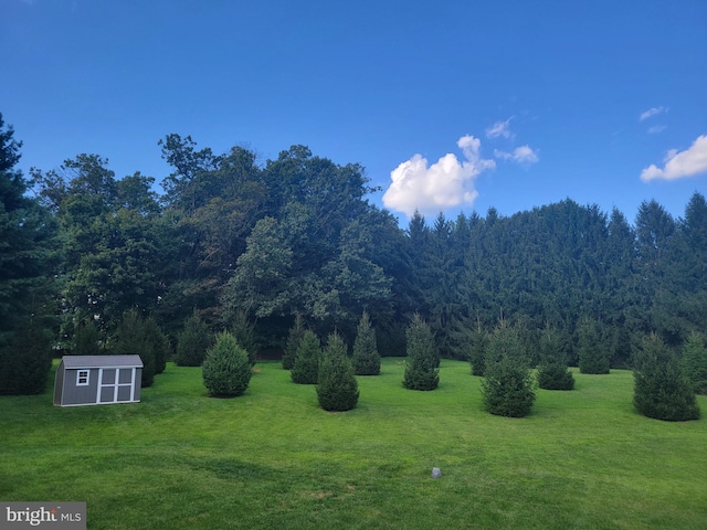 2508 Flagg Meadow Ct, Finksburg, MD 21048 - view of green lawn with a storage unit and a forest view