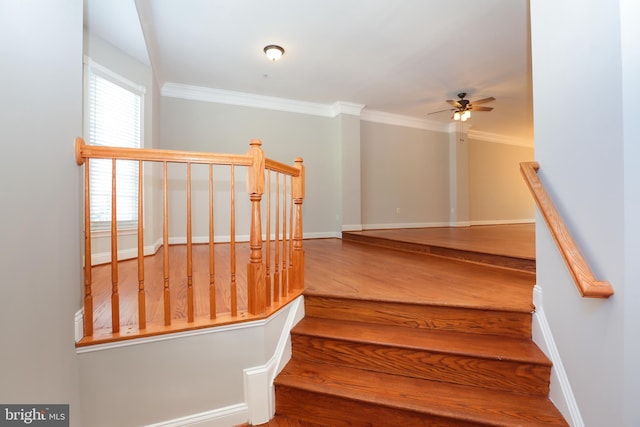 2066 Capstone Cir, Herndon, VA 20170 - staircase featuring a ceiling fan, ornamental molding, and wood finished floors