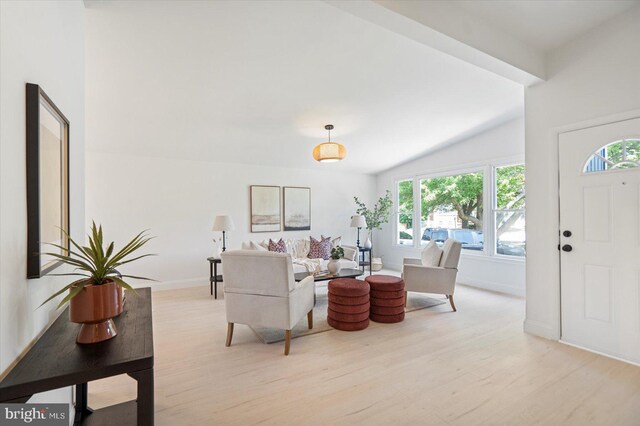 3402 Stevenswood Ct, Baltimore, MD 21244 - living room featuring plenty of natural light, light wood-type flooring, and lofted ceiling