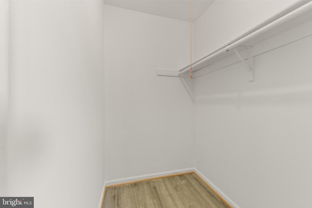 8995 Patterson Pl, Manassas, VA 20110 - walk in closet with wood finished floors