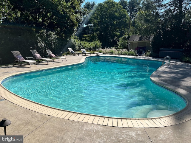 2424 Stanwick Rd, Phoenix, MD 21131 - swimming pool with a patio, a diving board, and view of wooded area