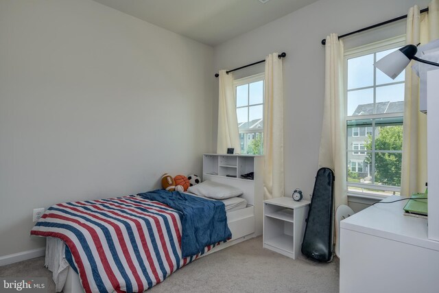 6647 Ballenger Run Blvd, Frederick, MD 21703 - bedroom with light colored carpet