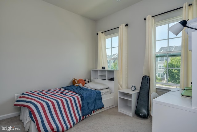 6647 Ballenger Run Blvd, Frederick, MD 21703 - bedroom with light colored carpet