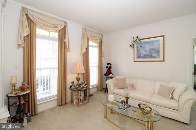 802 Chesapeake Ct, Newark, DE 19702 - living area featuring light carpet and ornamental molding
