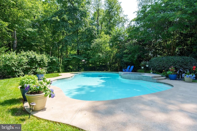 11 Forest Rdg, Newark, DE 19711 - view of swimming pool featuring a patio and a pool with connected hot tub