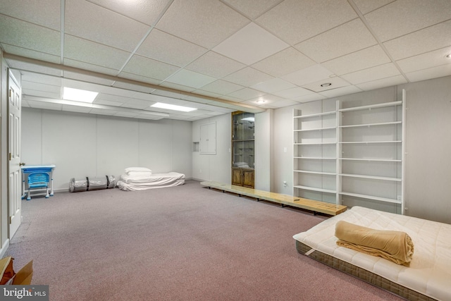 11 Forest Rdg, Newark, DE 19711 - finished below grade area with carpet floors and a paneled ceiling