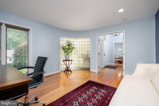 11 Forest Rdg, Newark, DE 19711 - office featuring healthy amount of natural light, wood finished floors, and recessed lighting