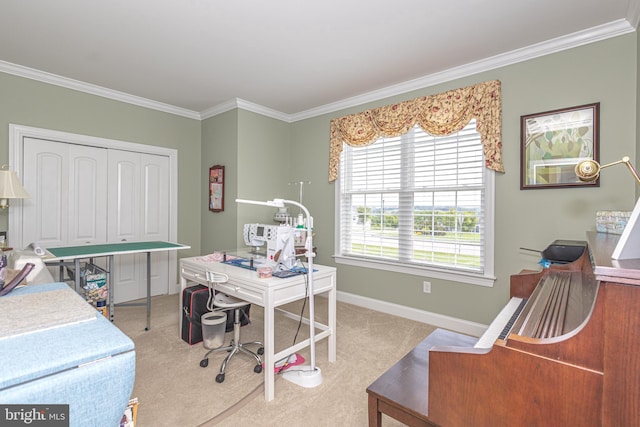 1 Chase Cir, Barto, PA 19504 - office with crown molding and carpet